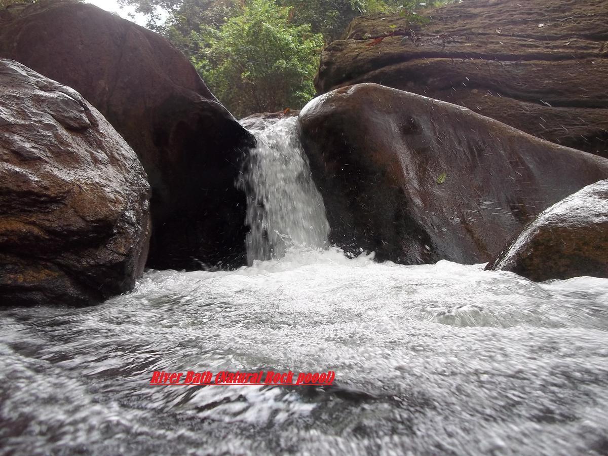 Girankiththa Eco Resort Kitulgala Exterior foto