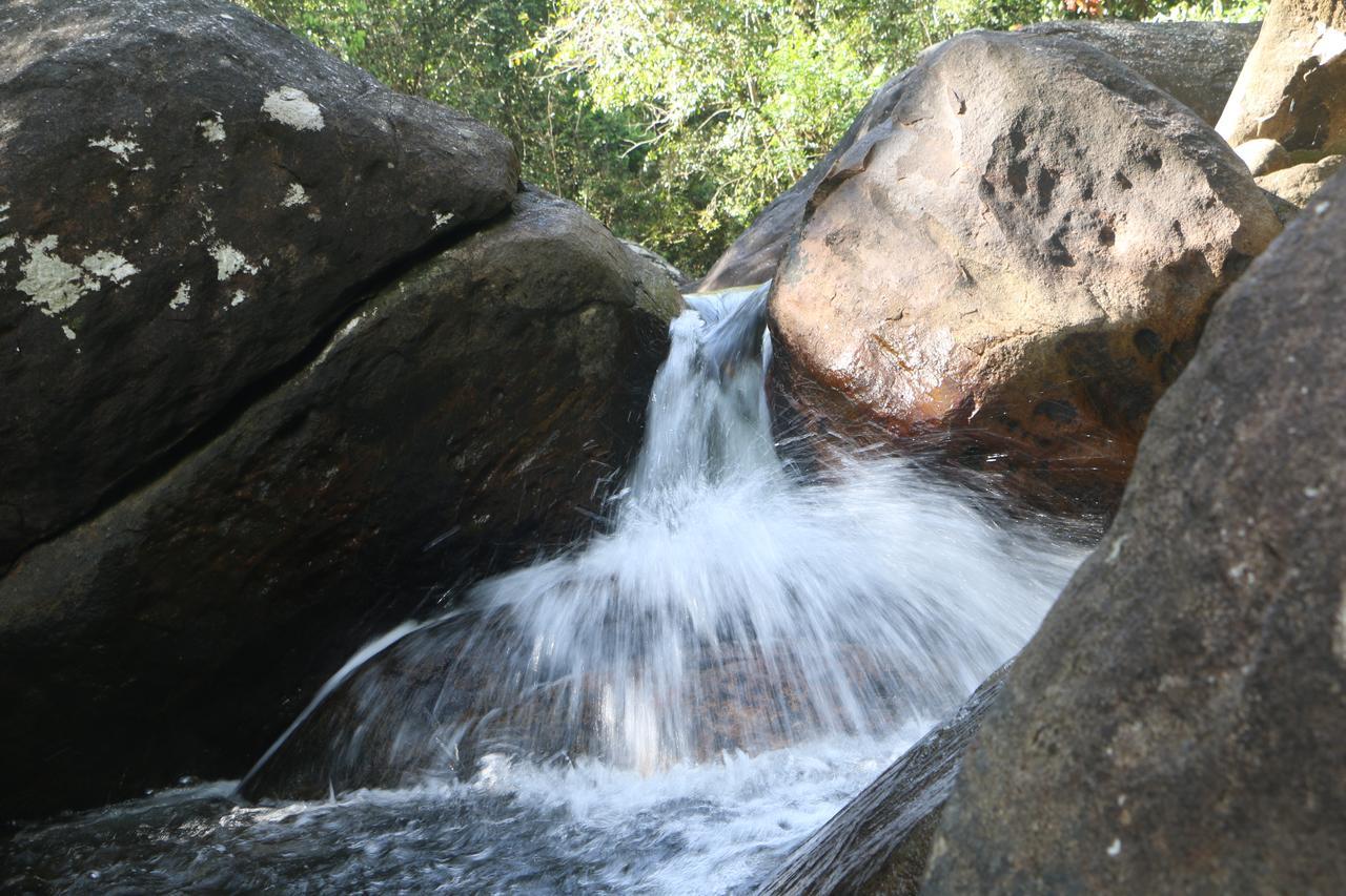 Girankiththa Eco Resort Kitulgala Exterior foto