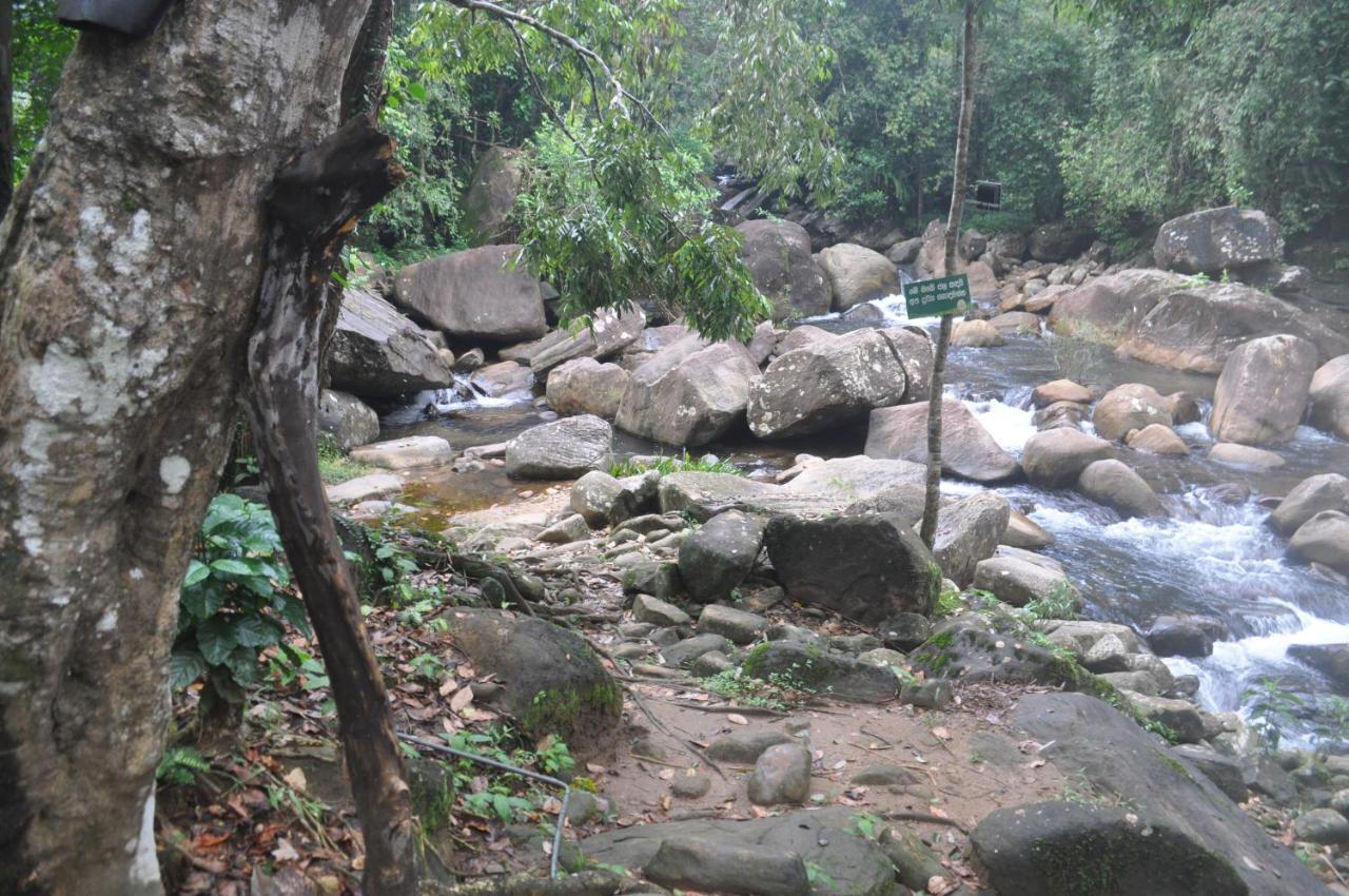 Girankiththa Eco Resort Kitulgala Exterior foto