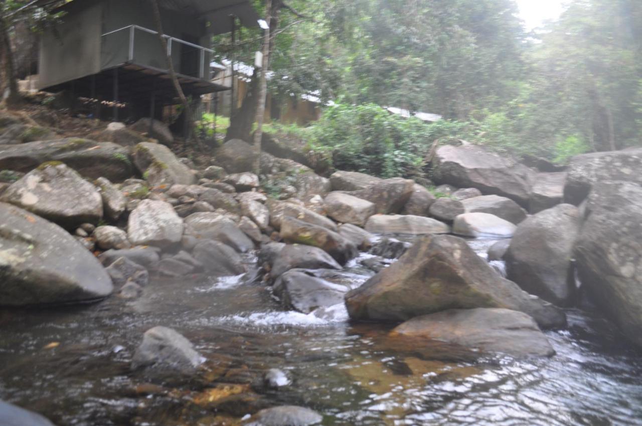 Girankiththa Eco Resort Kitulgala Exterior foto