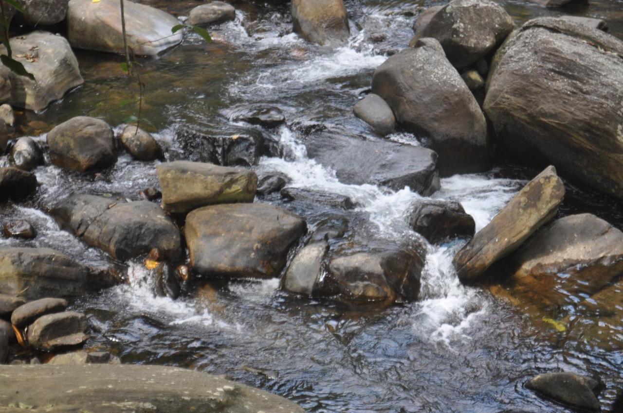 Girankiththa Eco Resort Kitulgala Exterior foto